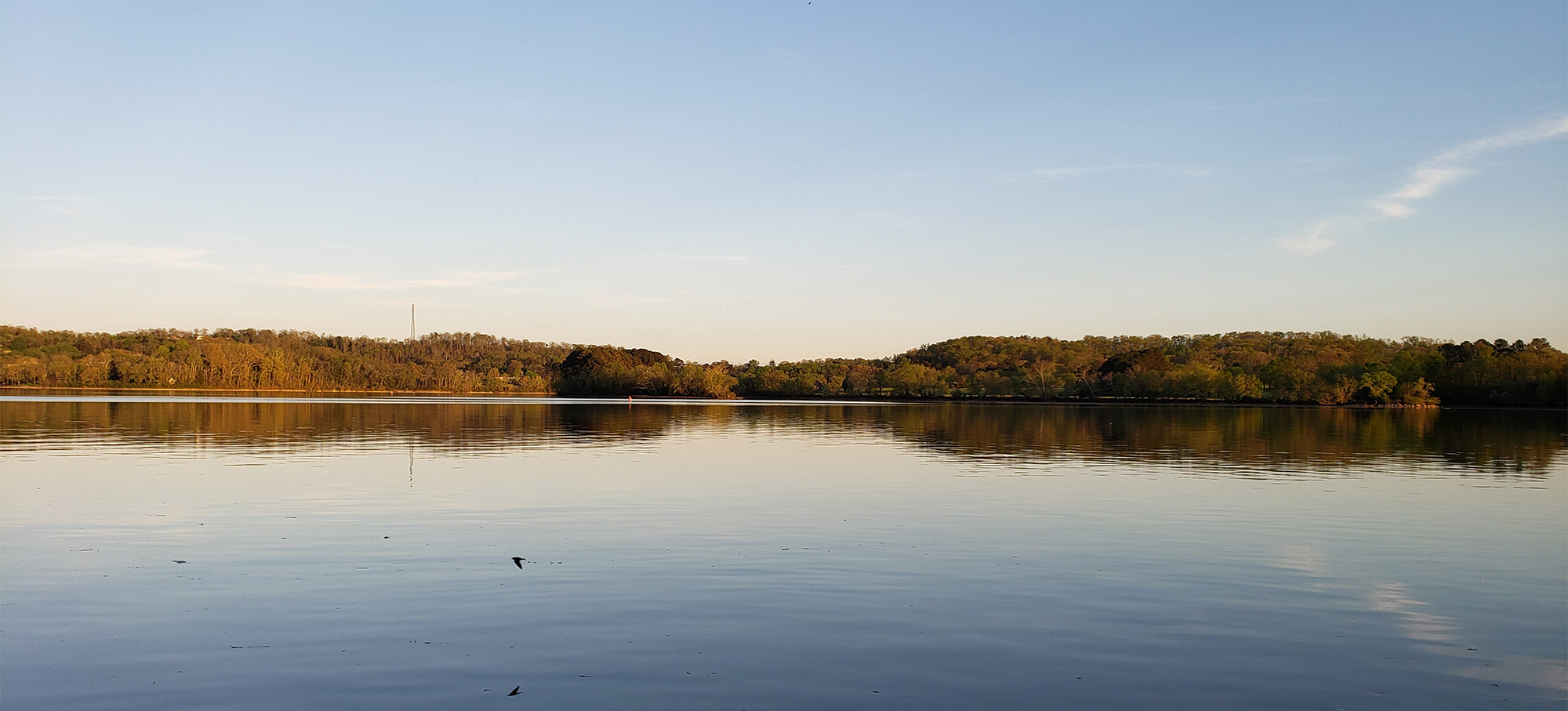 Watts Bar Lake